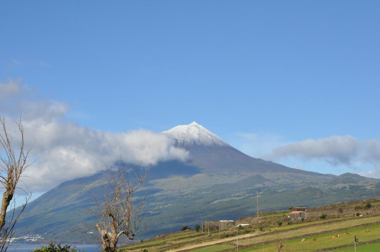 Casa Da Abrotea Villa Lajes do Pico Luaran gambar