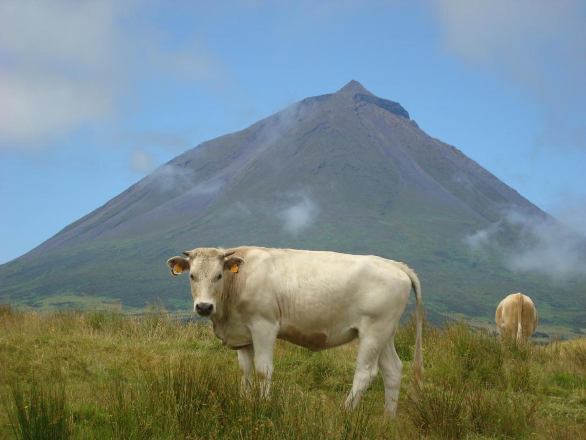 Casa Da Abrotea Villa Lajes do Pico Luaran gambar